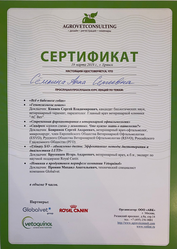 sertifikat-semkinoy-a Семкина Анна Сергеевна