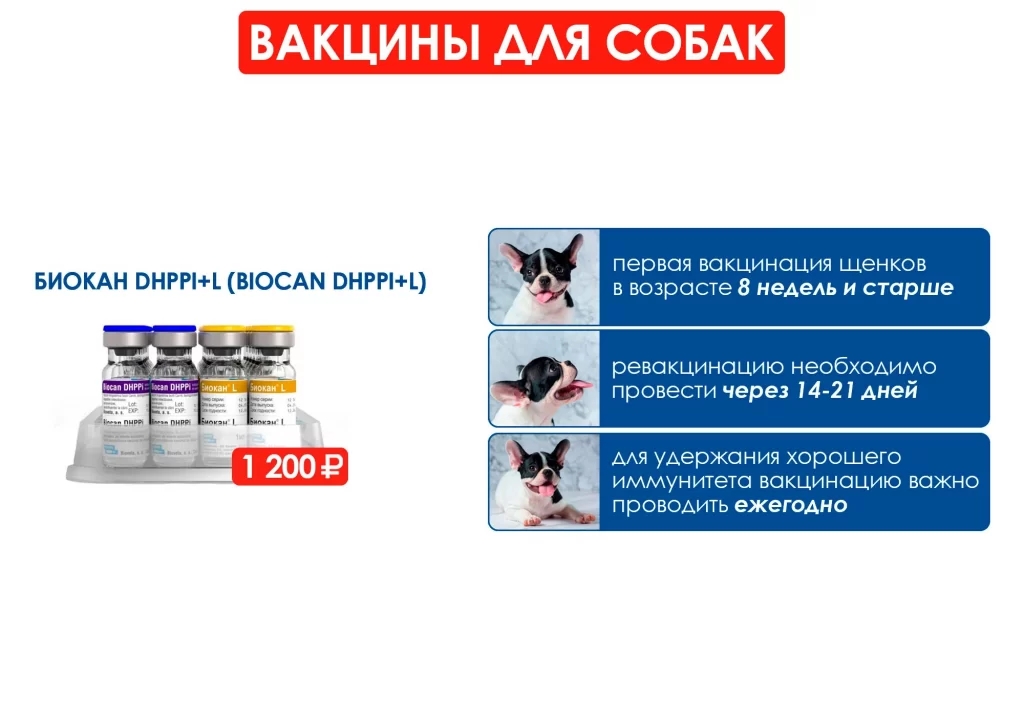 importnye-vakciny-dlya-sobaki-1024x717 Импортные вакцины снова в наличии!