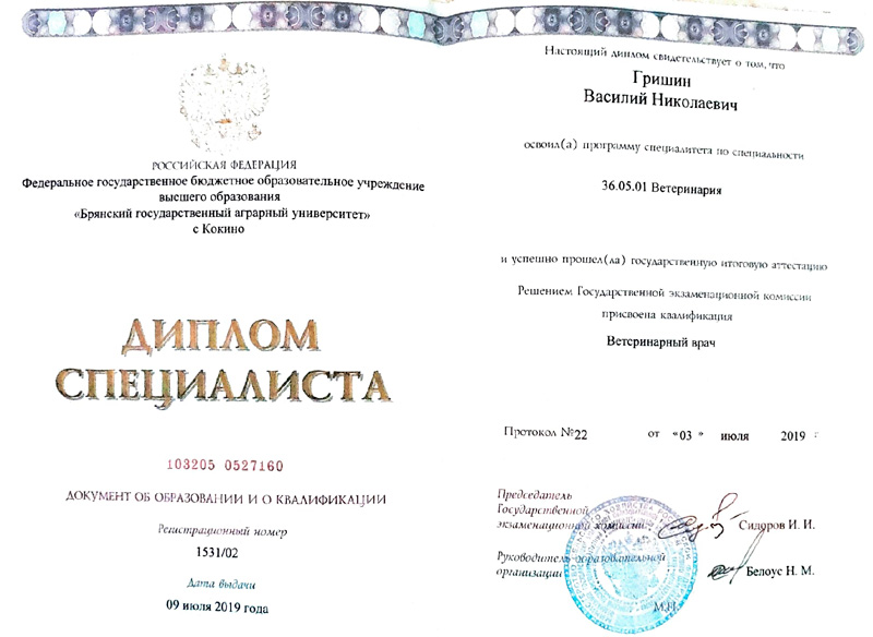 diplom-grishina-vasiliya-nikolaeviya Гришин Василий Николаевич