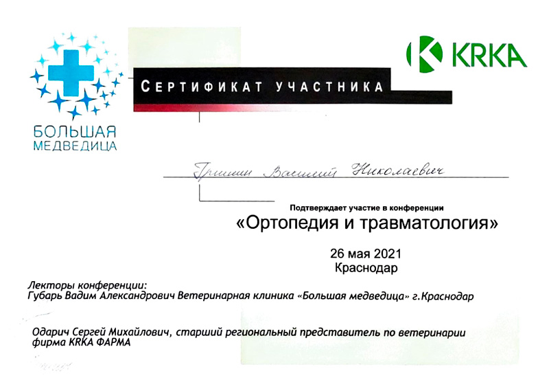sertifikat-grishina-v-n Гришин Василий Николаевич