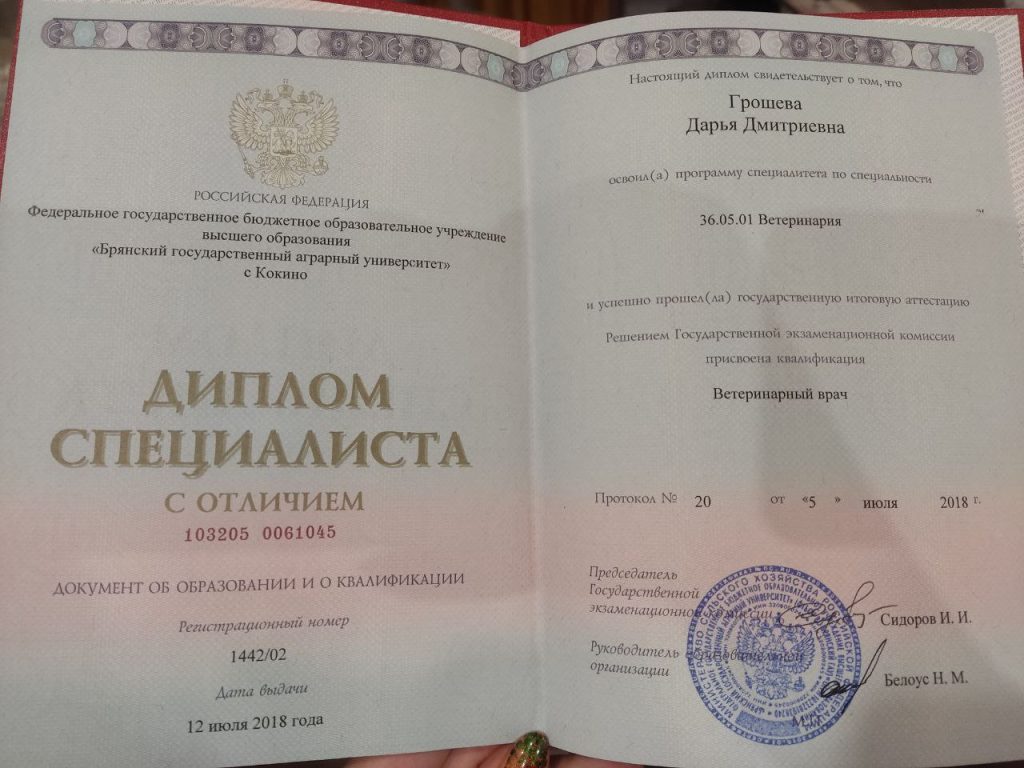 diplom-grosheva-darya-dmitrievna-1024x768 Грошева Дарья Дмитриевна