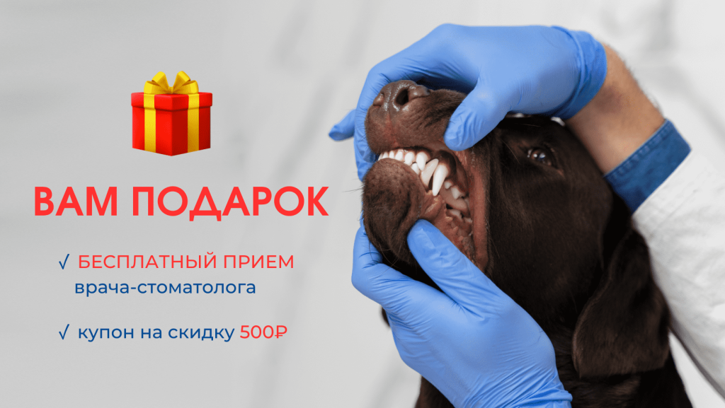 VAM-PODAROK-1-1024x577 Специальное предложение для клиентов филиала «Брянск»