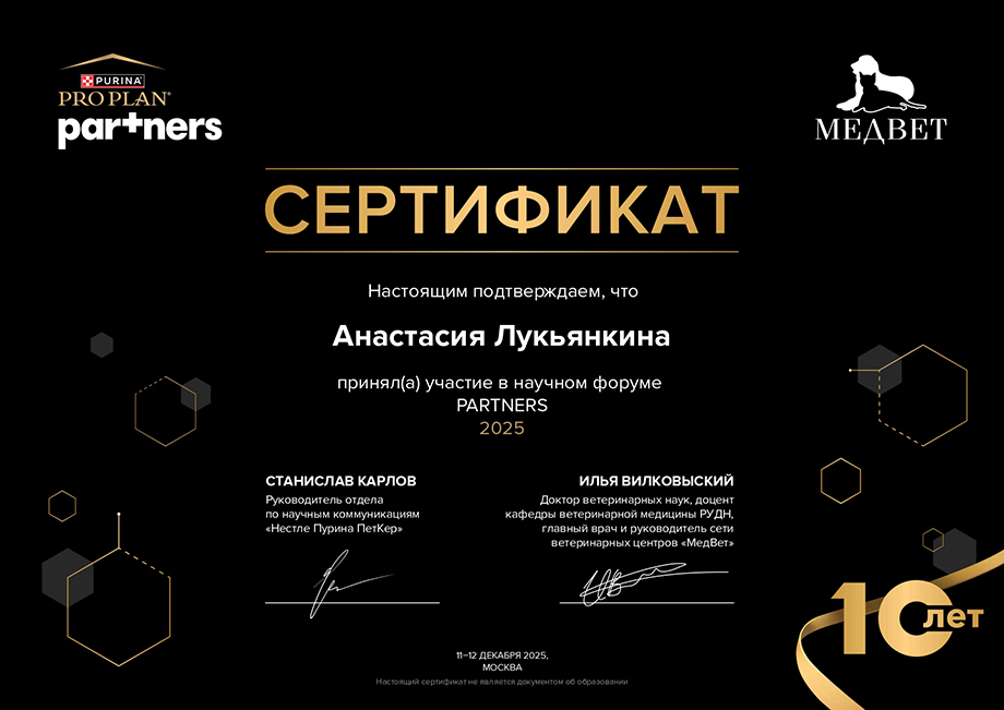 partners-2025 Лукьянкина Анастасия Сергеевна