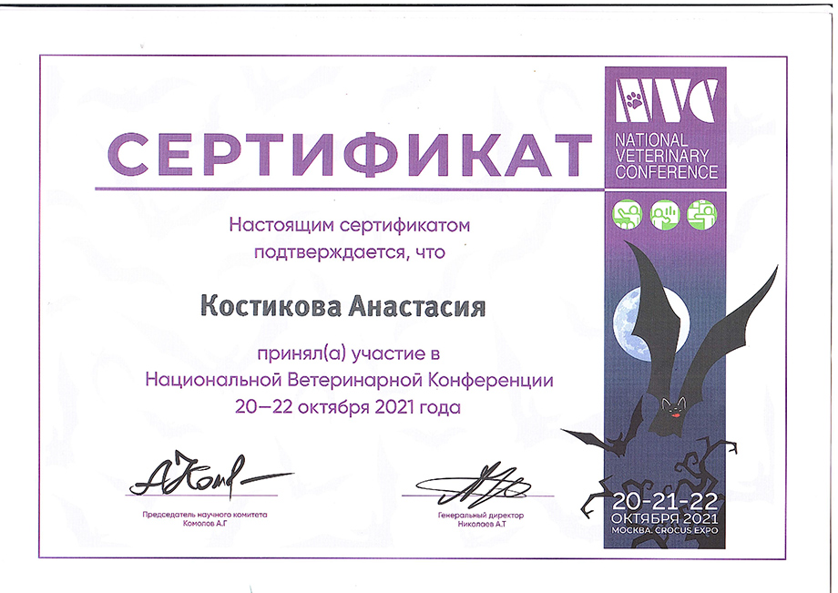 kostikova-anastasiya-gennadevna-nacionalnaya-veterinarnaya-konferenciya Костикова Анастасия Геннадьевна