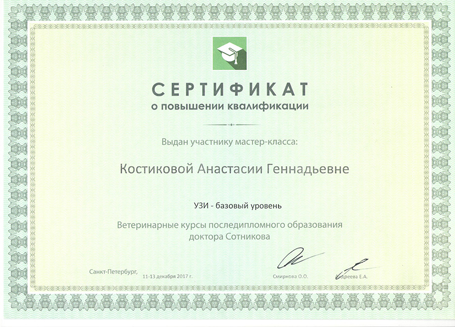 kostikova-anastasiya-gennadevna-povyshenie-kvalifikacii Костикова Анастасия Геннадьевна
