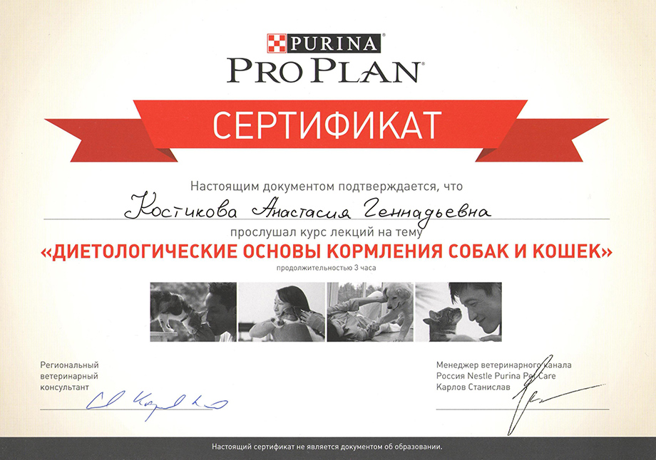 kostikova-anastasiya-gennadevna-pro-plan Костикова Анастасия Геннадьевна