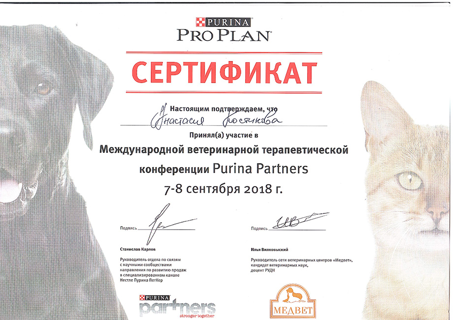 kostikova-anastasiya-gennadevna-purina-partners Костикова Анастасия Геннадьевна