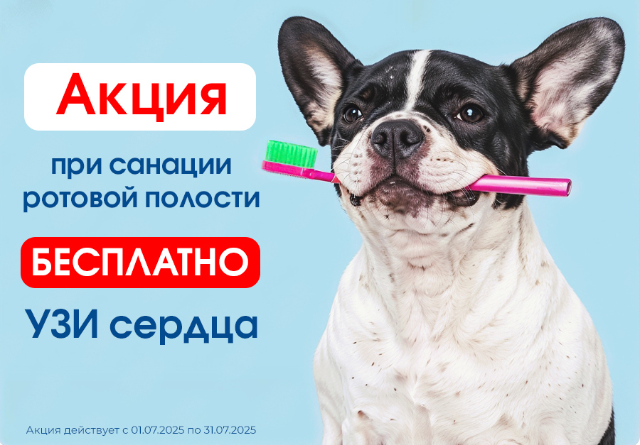 Акция на санацию ротовой полости