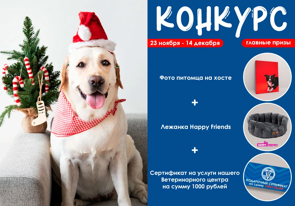 Спешите принять участие в конкурсе!