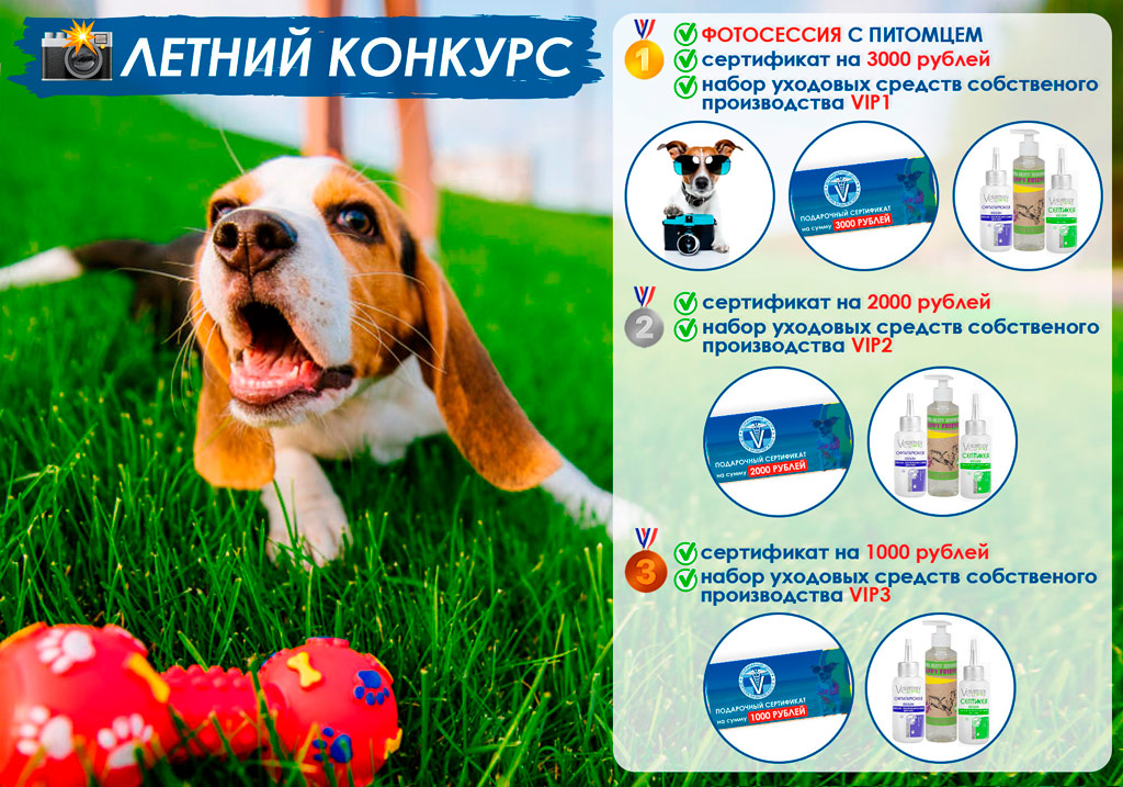 летний конкурс