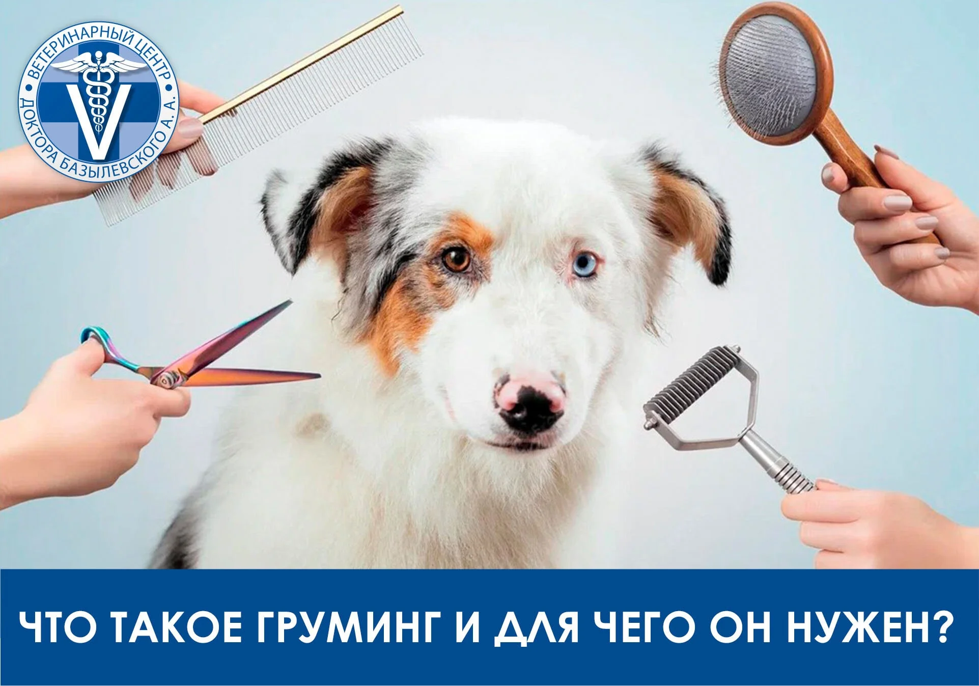 Что такое груминг и для чего он нужен?
