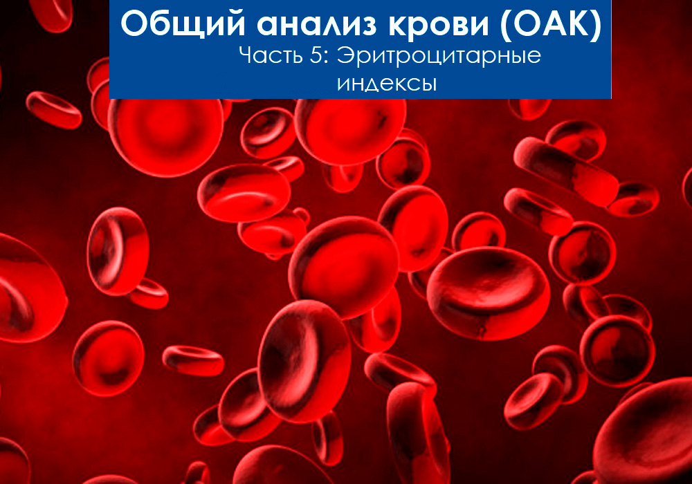 Эритроцитарные индексы