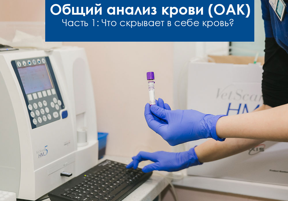 Общий анализ крови (ОАК)