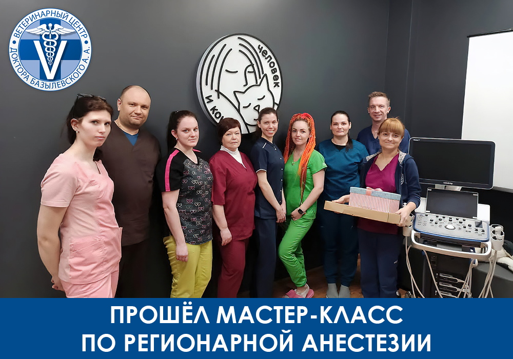 Прошел мастер-класс по регионарной анестезии