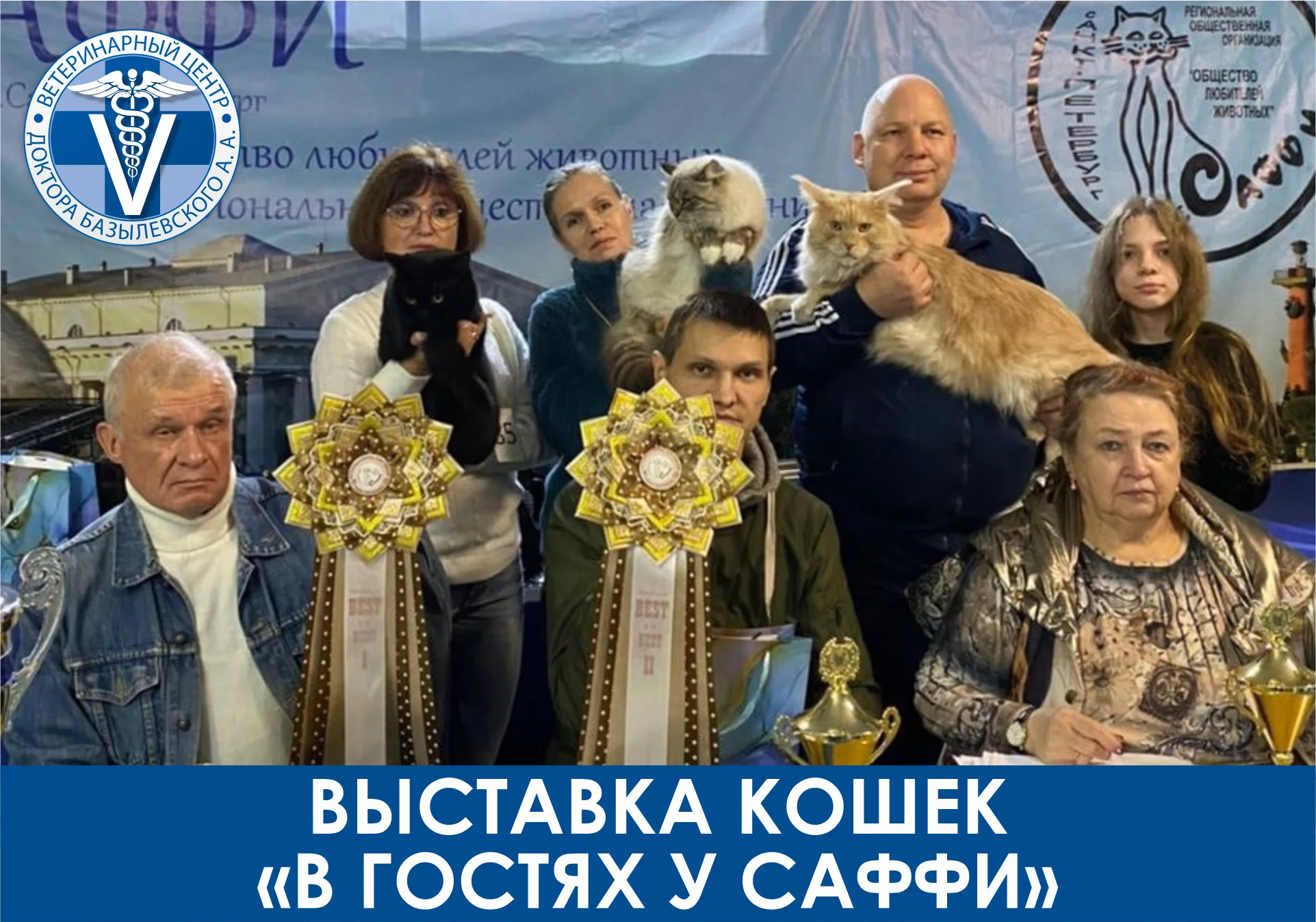 Выставка кошек "В гостях у Саффи"