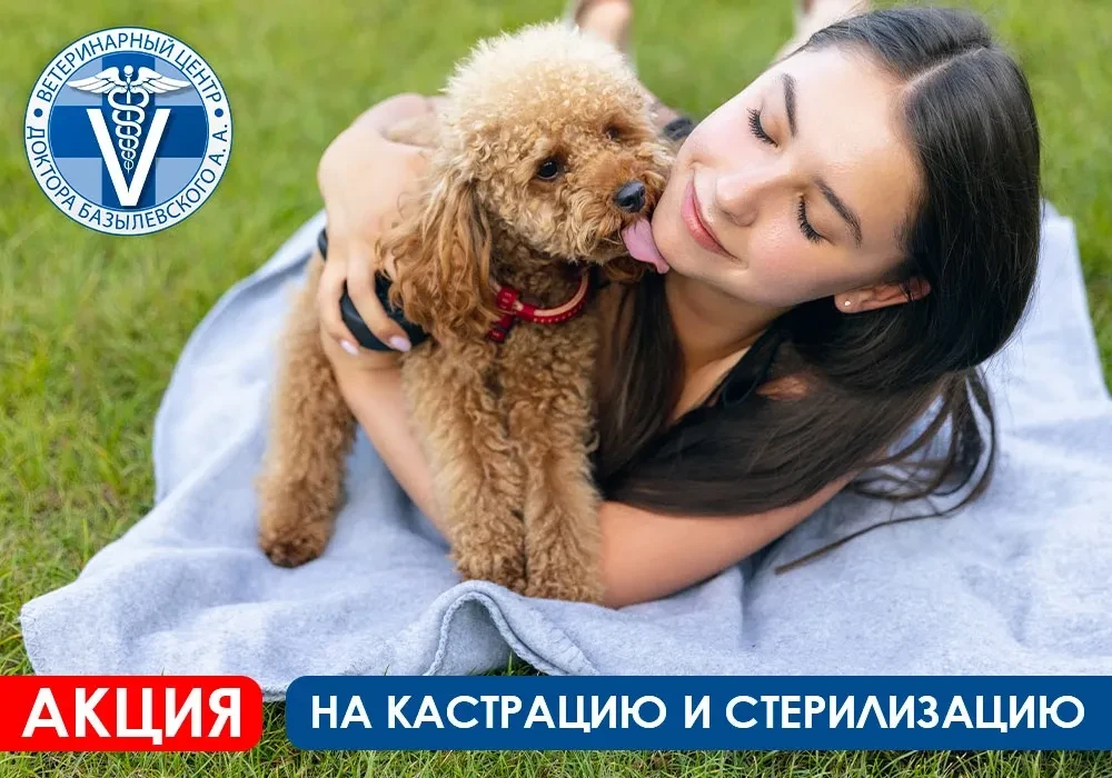 акция на кастрацию и стерилизацию