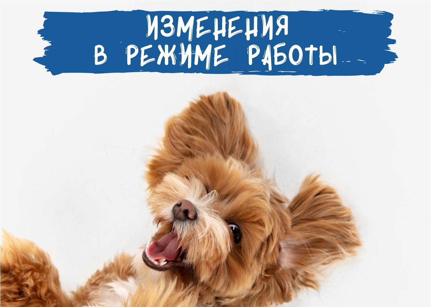 Изменен график работы 31 августа