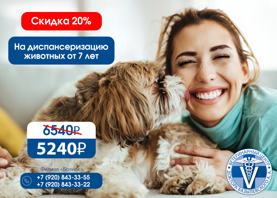 Скидка на диспансеризацию животных от 7 лет