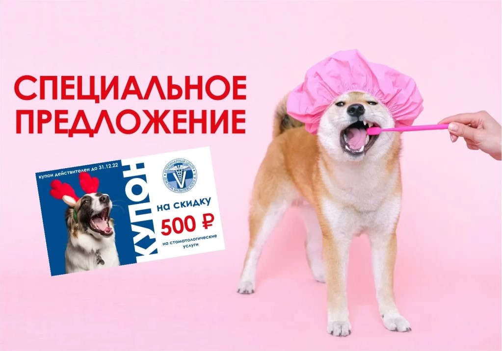kupon na skidku