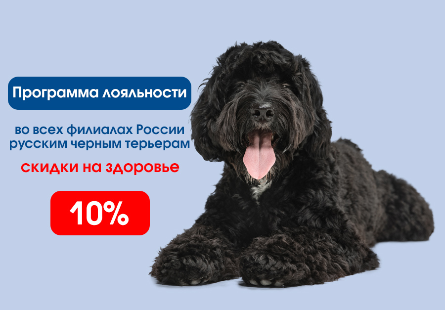 Программа лояльности