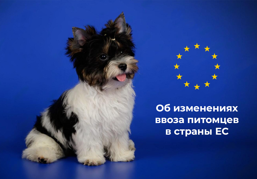 Изменения в ввозе питомцев