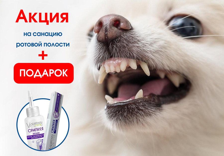 Санация ротовой полости