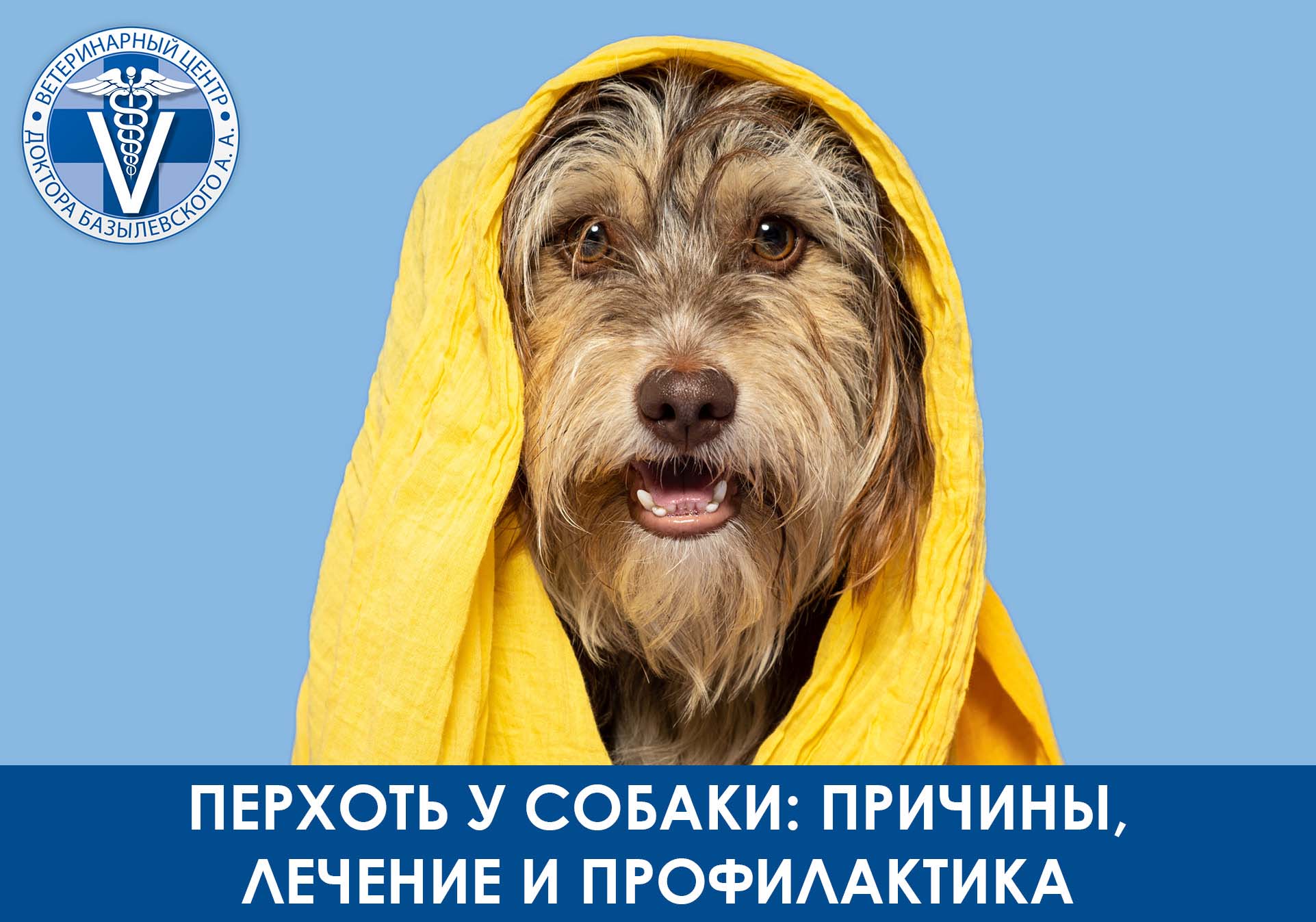 перхоть у собаки