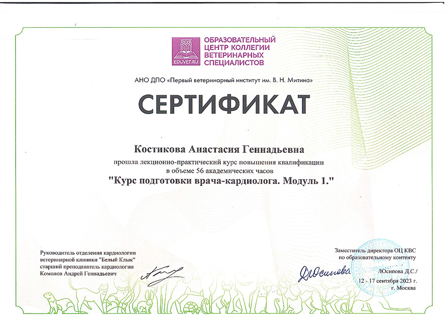 kostikova-anastasiya-gennadevna-kurs-podgotovki-vracha-kardiologa Костикова Анастасия Геннадьевна