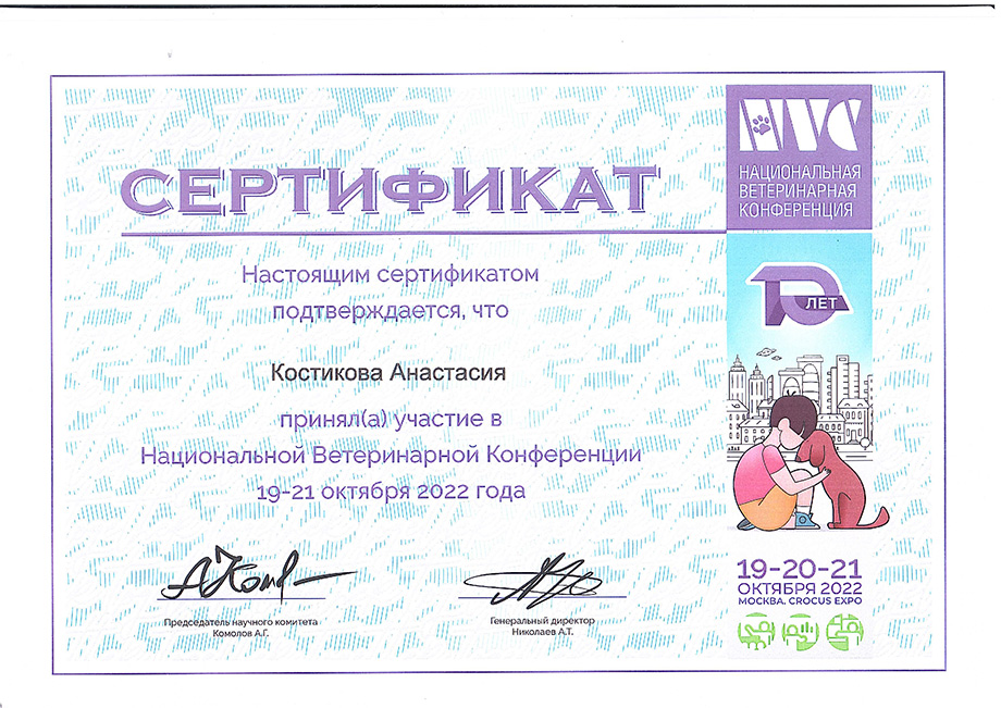 kostikova-anastasiya-gennadevna-nvc-2022 Костикова Анастасия Геннадьевна