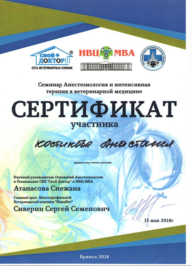 kostikova-anastasiya-gennadevna-seminar-po-anesteziologii-738x1024 Костикова Анастасия Геннадьевна